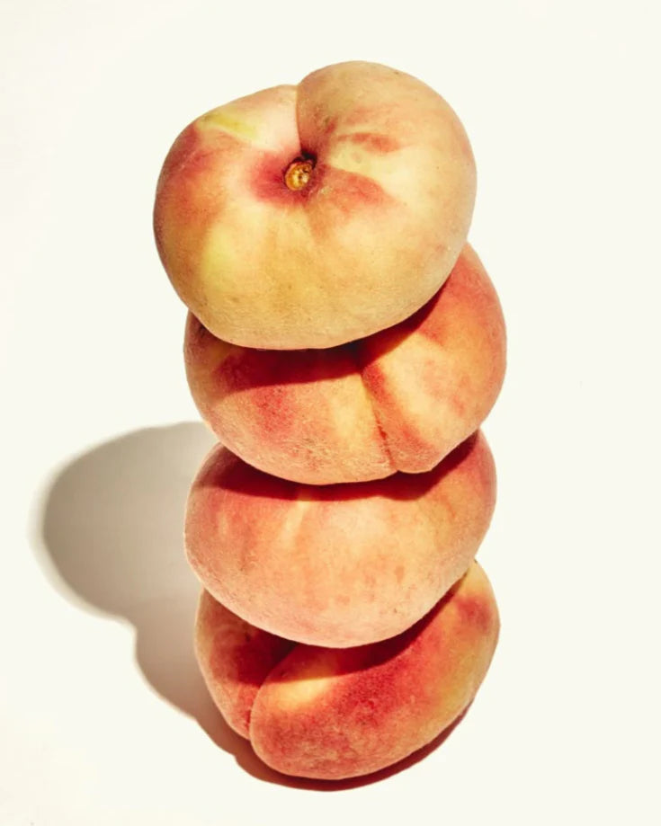 Chandelle Peach & Cream